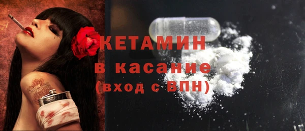 стаф Аркадак