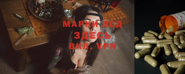 мет Арсеньев