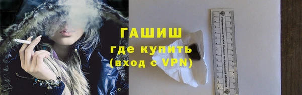 стаф Аркадак