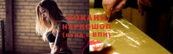 стаф Аркадак